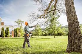 Best Lawn Watering Services  in Amery, WI