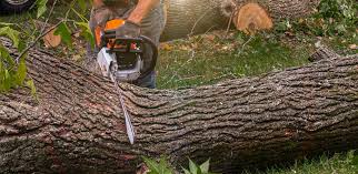 Best Lawn Drainage Solutions  in Amery, WI